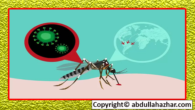 Zika fever: Symptoms – Best Guide in 2023