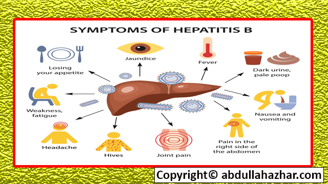 Hepatitis B Diseases: Symptoms, Stages, Treatment Full in Detailed